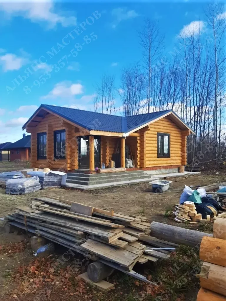 Банная печь №17